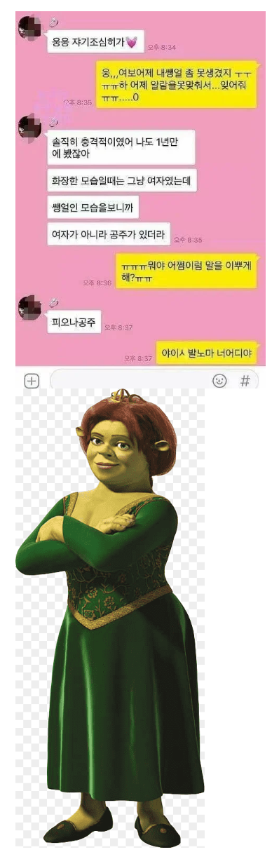 피오나.png